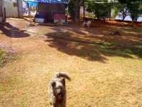 /album/galeria-de-fotos-uipa-itapetininga/a216856-142014642607458-1100557183-n-jpg/